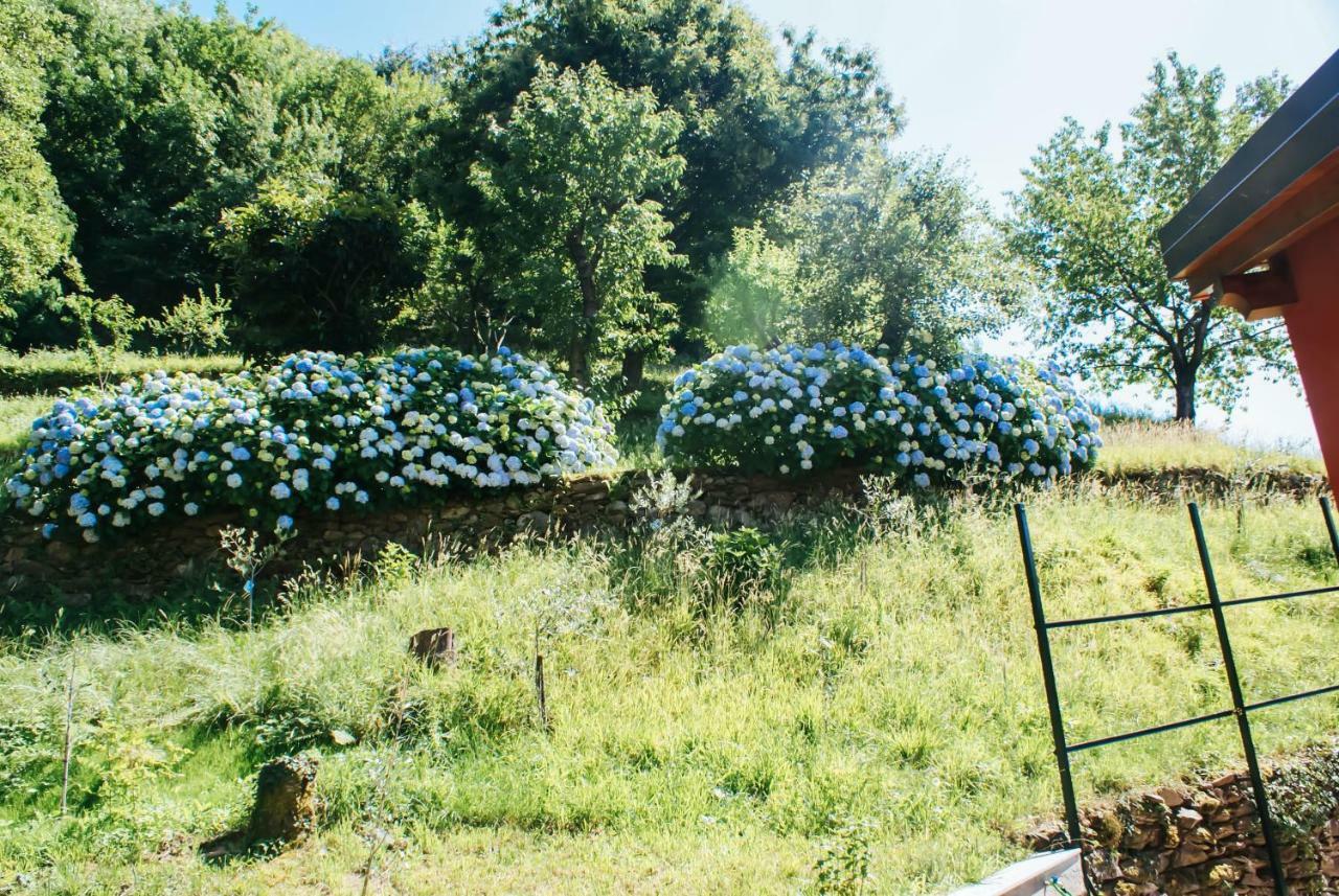 Valle Dei Mulini - Lake Como Bellano Zewnętrze zdjęcie